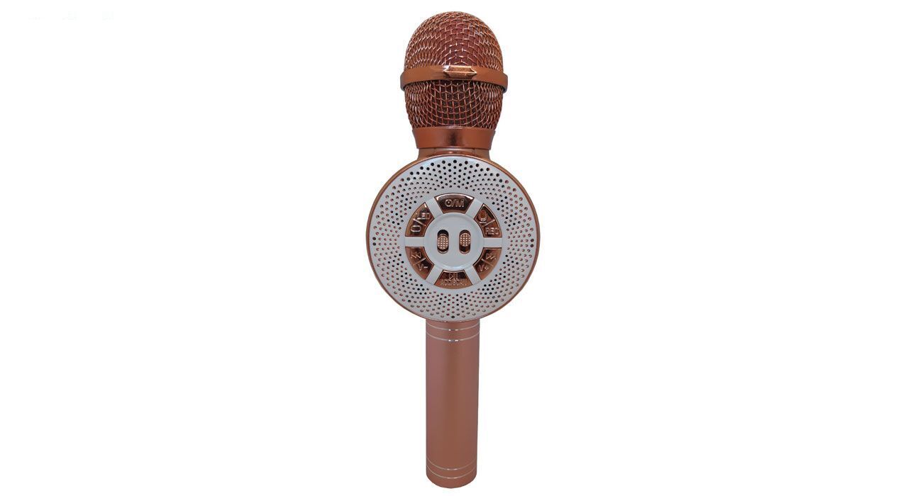 ميکروفون اسپيکر وستر مدل WS-669
