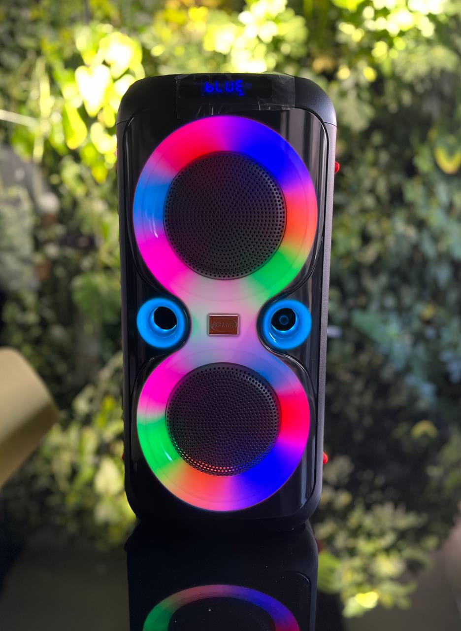 اسپیکر پارتی باکس کایزر مدل K-4600